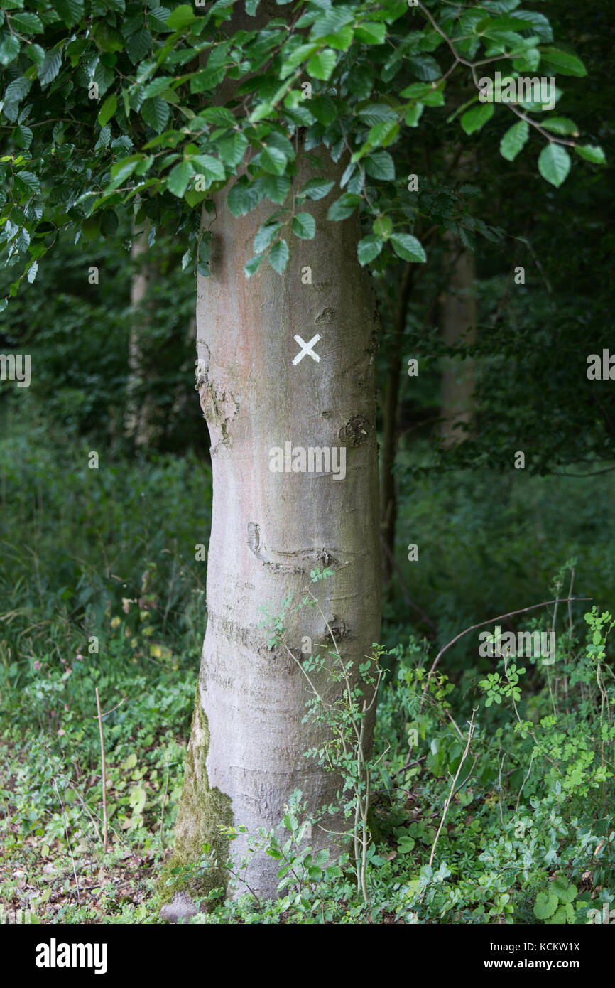 x sighn on tree Stock Photo - Alamy