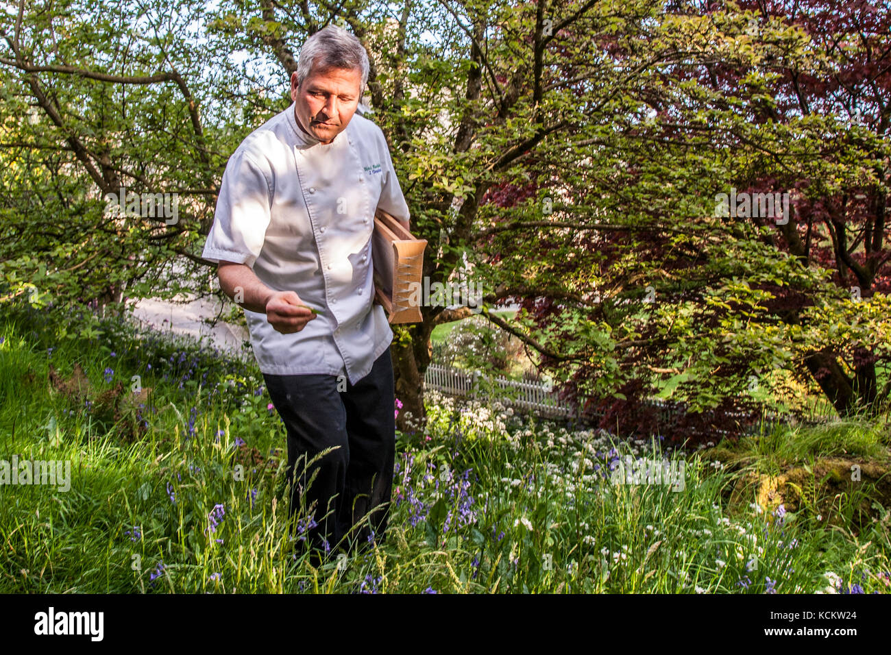 José Graziosi with his Carraturo, which is a tool to make maccaroni pasta. Chef José Graziosi is Italian and cooking pasta is practically in his blood. Since his apprenticeship he has been accompanied by a very special kitchen utensil Stock Photo