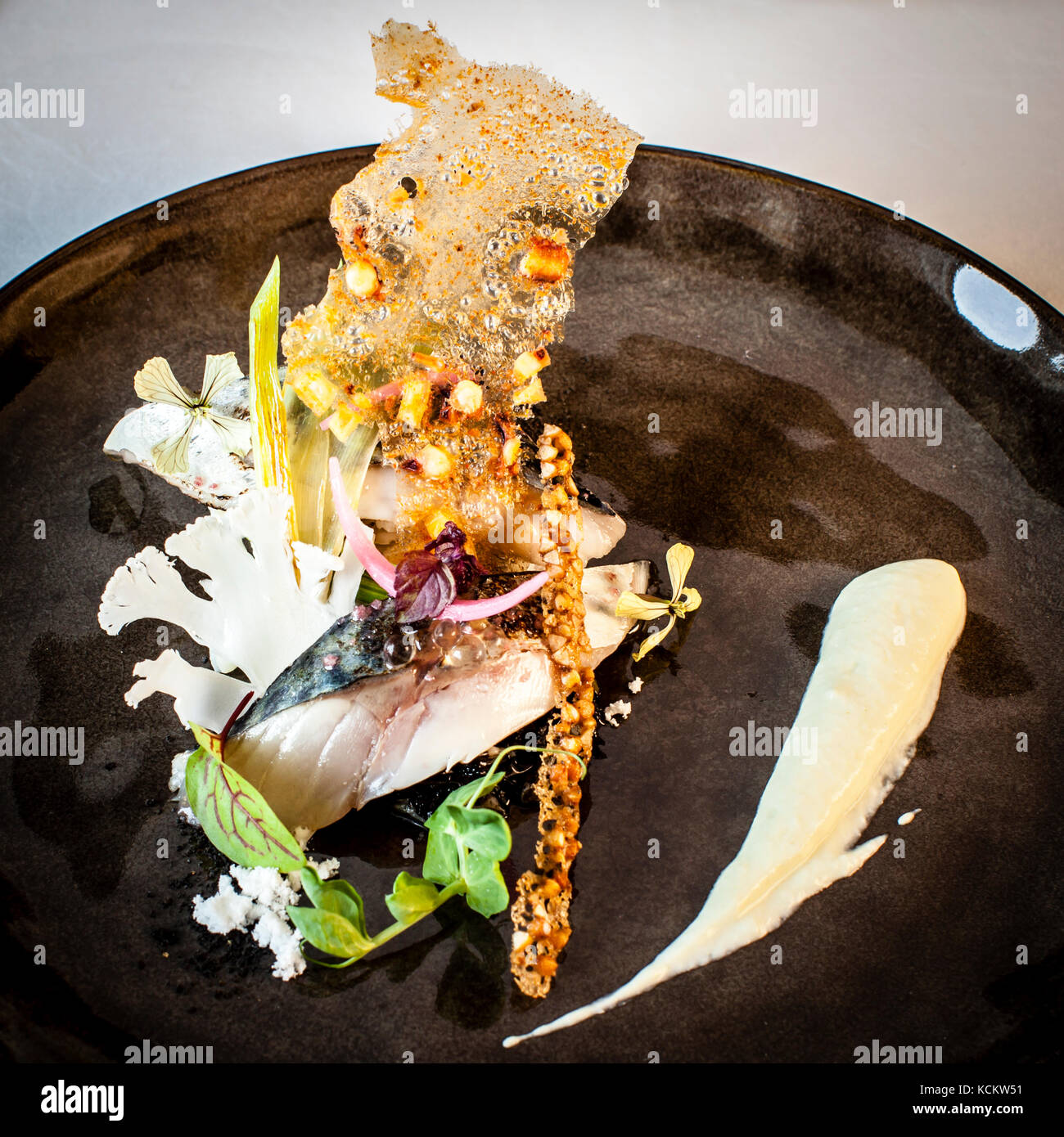 A painting of freshness and crunch: mackerel and cauliflower. Culinaric Art of Michelin Star Chef Loïc Le Bail. The mackerel was marinated in aceto balsamico and comes with a salad cream, a cracker of black ink of octopus, raw cauliflower, steamed spring onions and buckwheat crunch Stock Photo