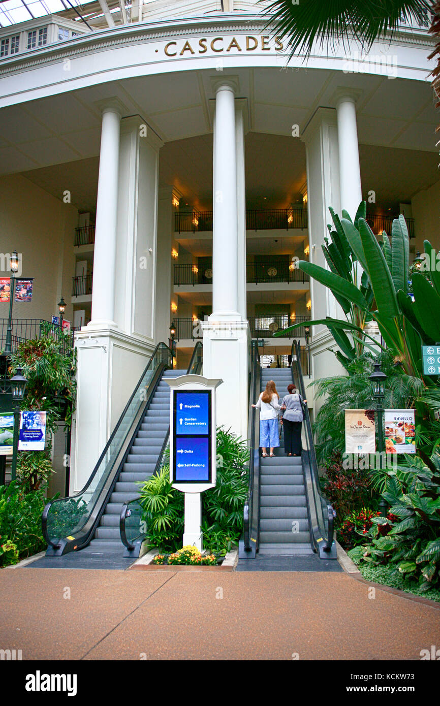 Escalators leading to the many hotel roomsinside the Gaylord Opryland
