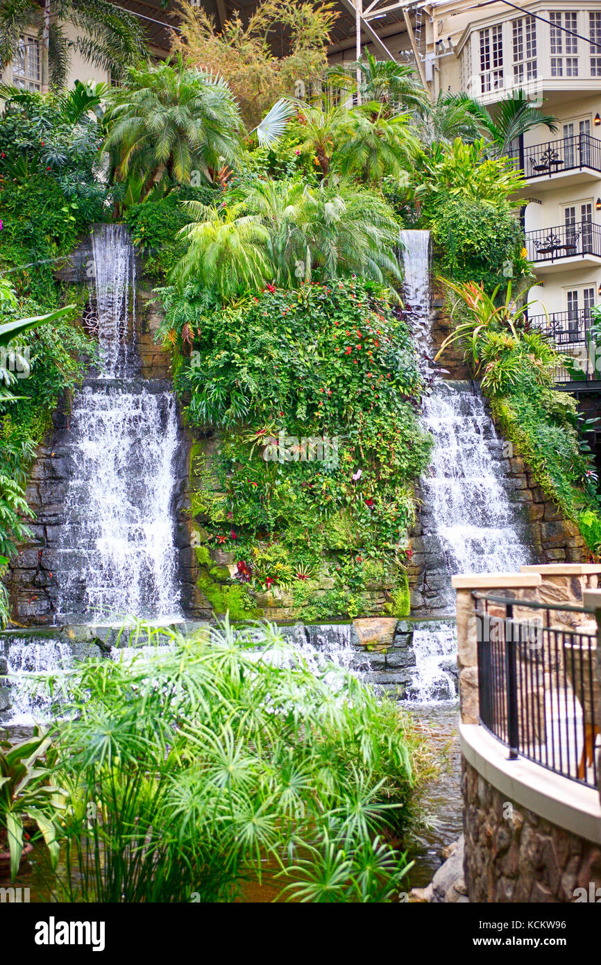 Waterfalls In The Botanical Garden Style Gaylord Opryland Hotel