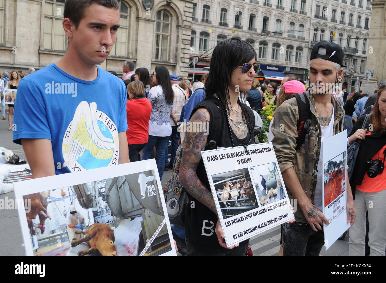 Violences made to animals hi-res stock photography and images - Alamy
