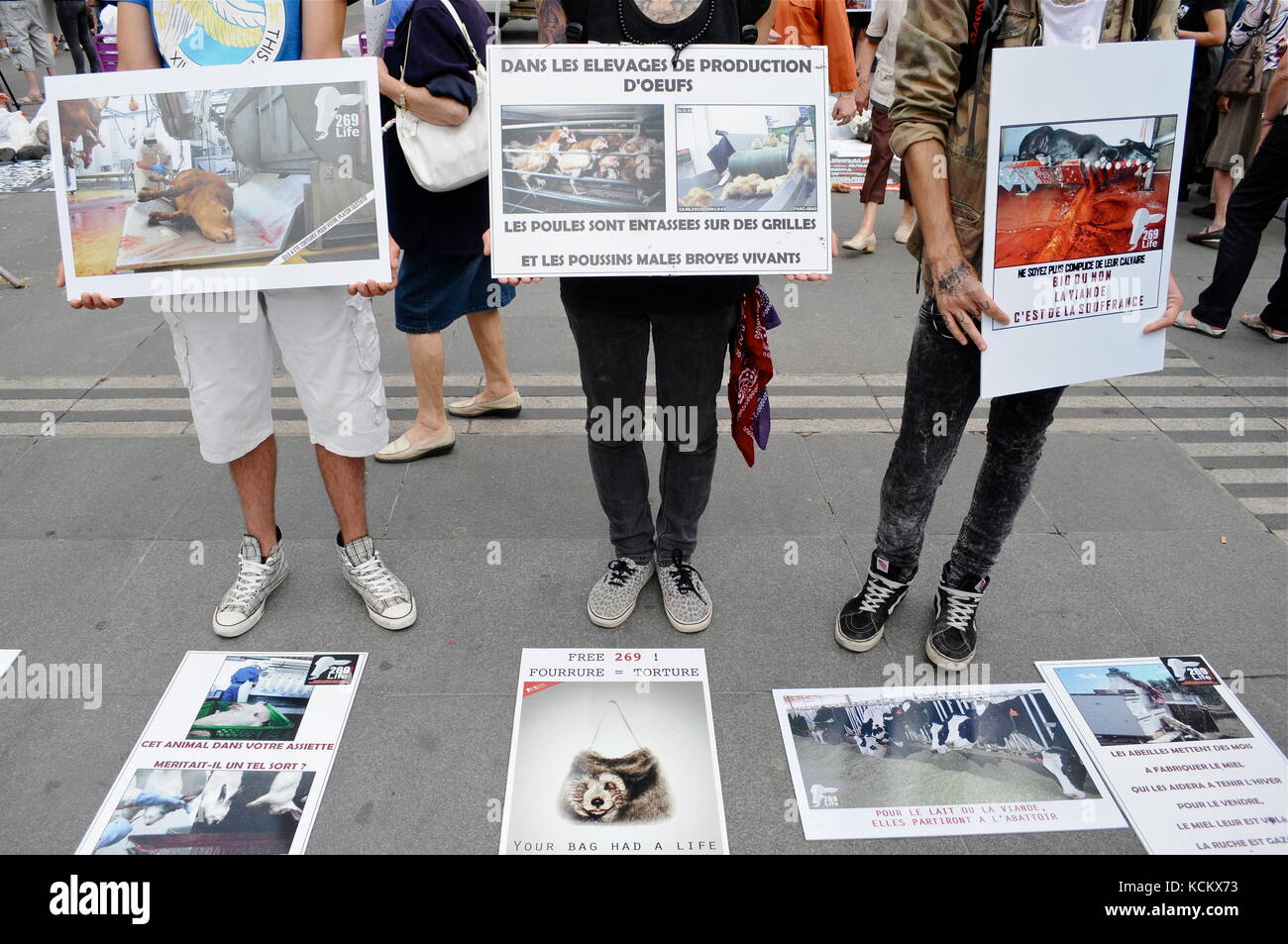 L269 Animals rights activists protest violences made to animals and ask ...