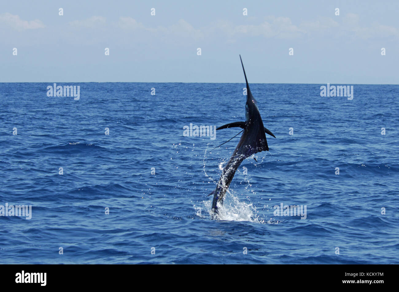 deep sea fishing near me deep sea fishing near me