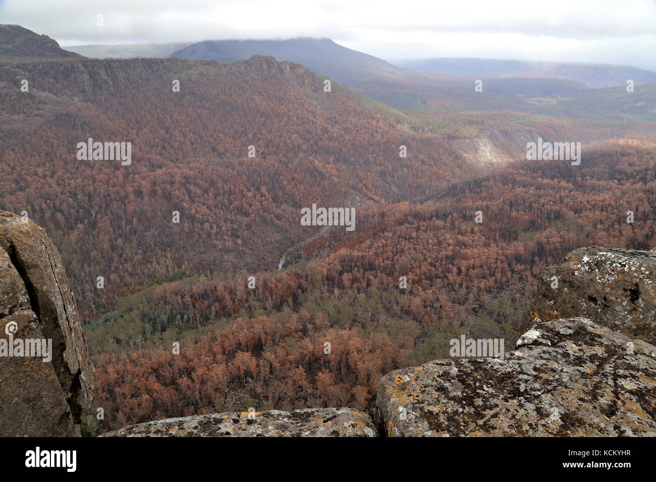 Extensive damage in the Fisher River valley below Devils Gullet from catastrophic fires. Great Western Tiers, northern Tasmania, Australia Stock Photo