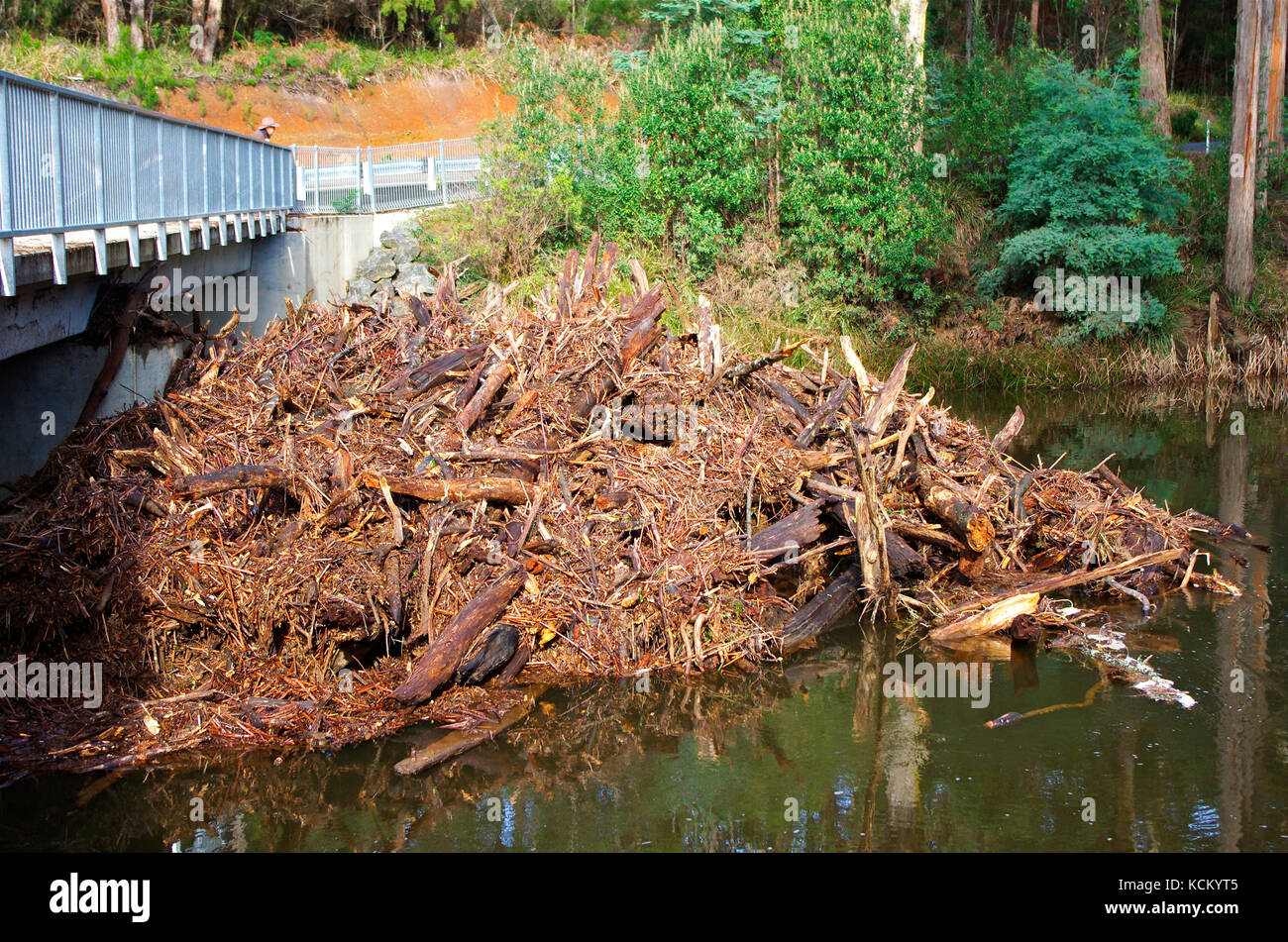 Flood debris piled up against the Emu River Bridge. Burnie, northwestern Tasmania, Australia Stock Photo
