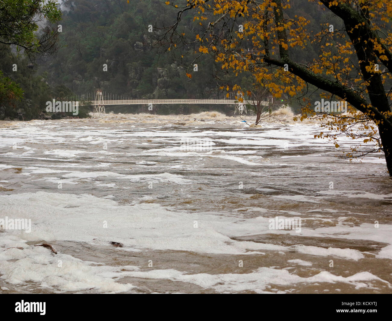 South Esk River in flood and the suspension bridge at First Basin almost under water. Cataract Gorge, Launceston, Tasmania, Australia Stock Photo