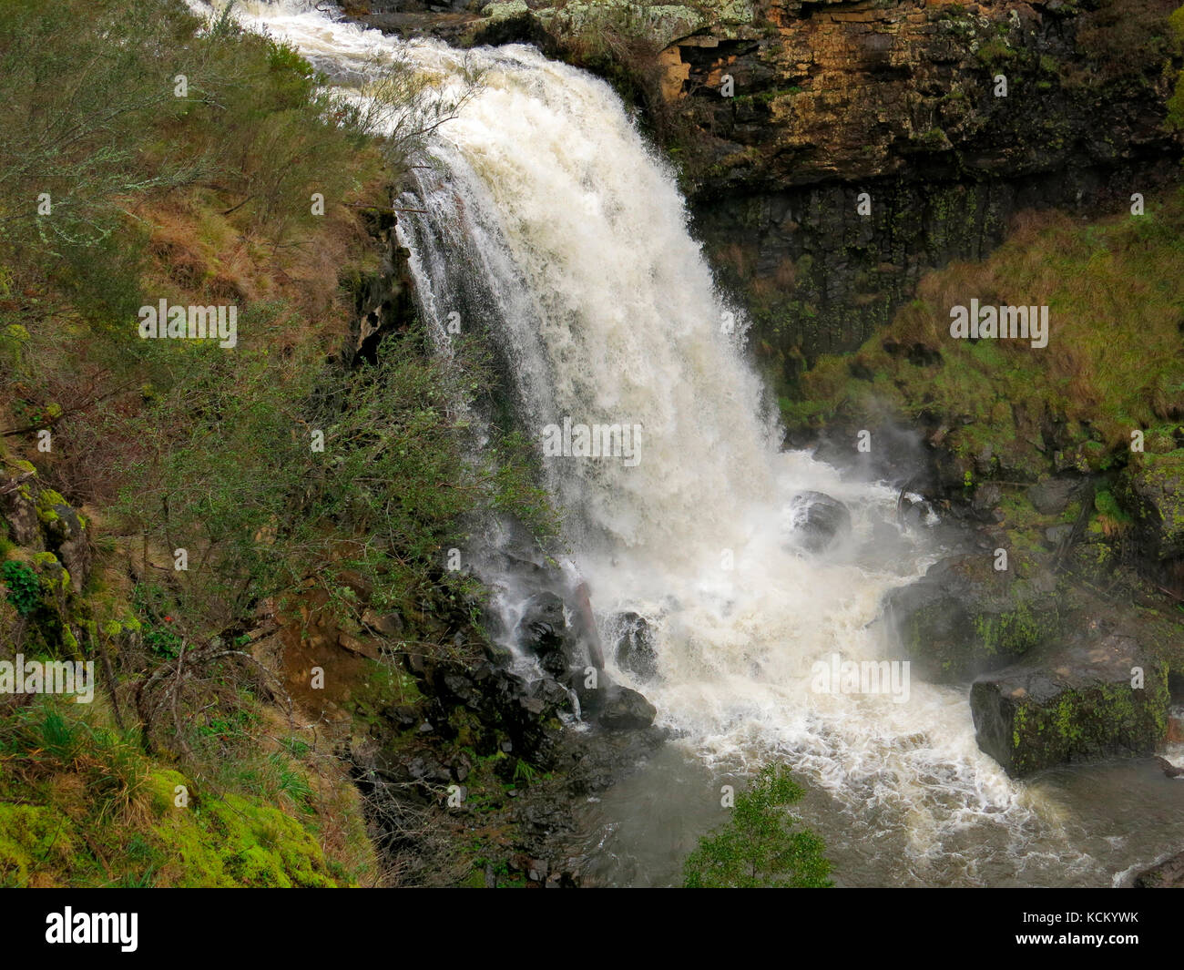 Paddys River Falls in full flow, plunging about 18 metres into what can be a scenic swimming hole. Tumbarumba, New South Wales, Australia Stock Photo