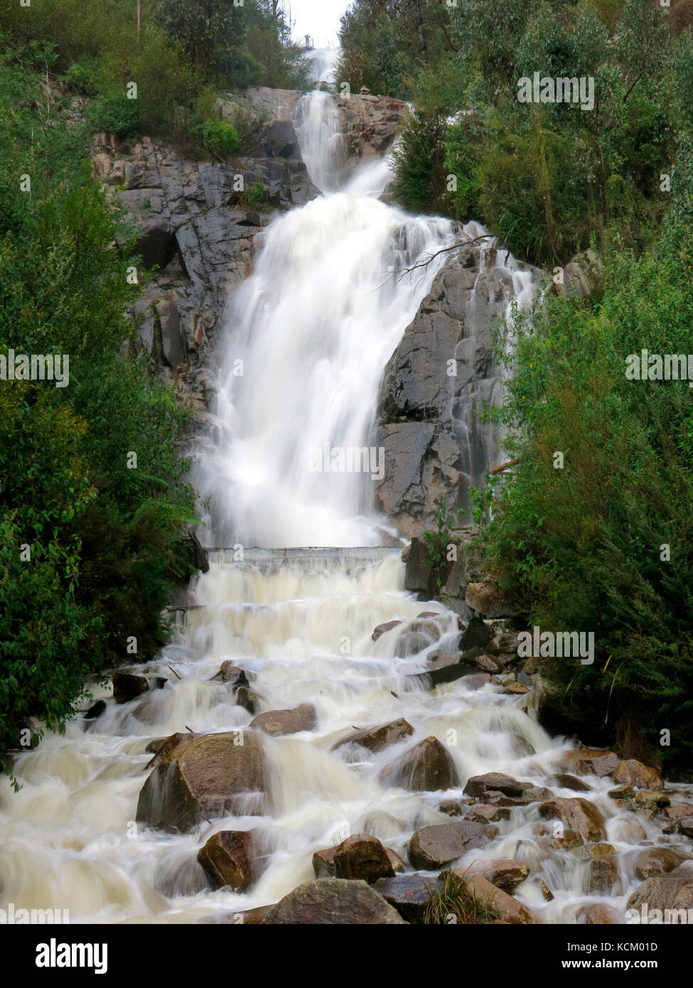 Steavenson Falls, five cascades falling a total of 122 m. Steavenson Falls Scenic Reserve, Marysville, Victoria, Australia Stock Photo
