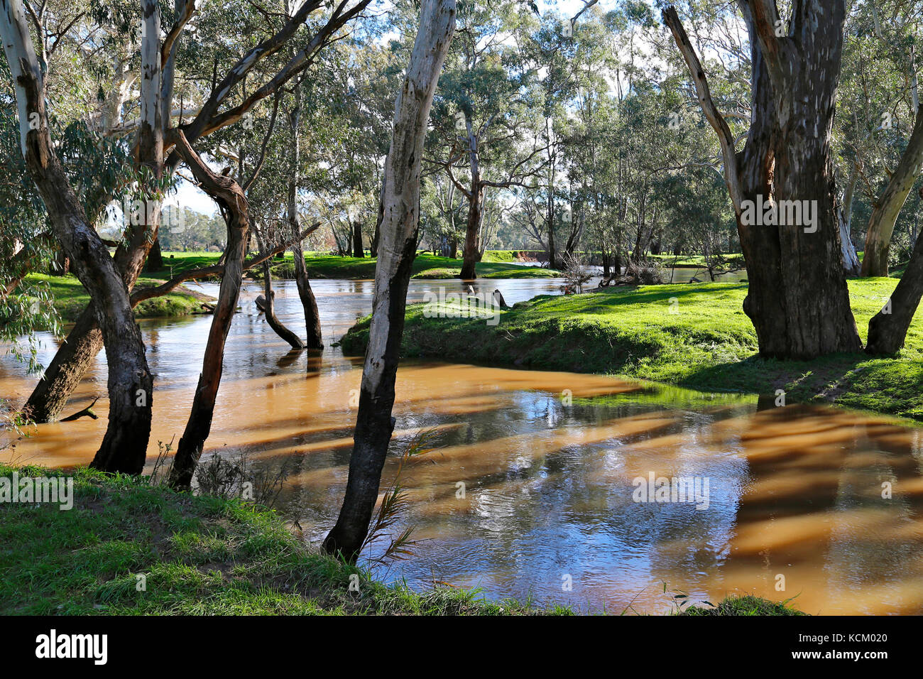 Broken River in the Benalla wetlands. Northern Victoria, Australia Stock Photo