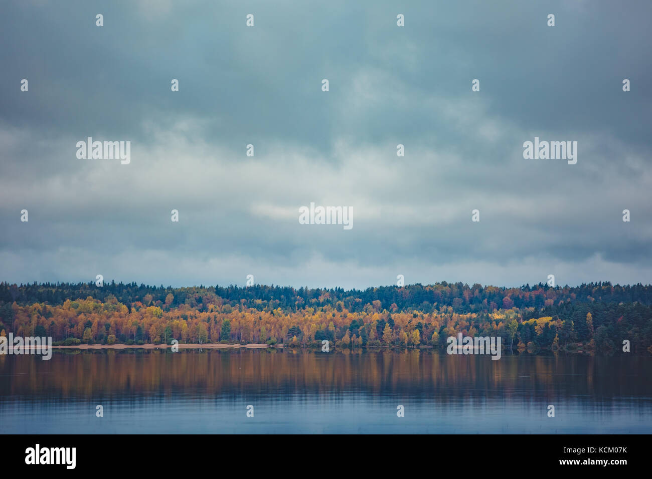 Autumn trees with reflection Stock Photo - Alamy