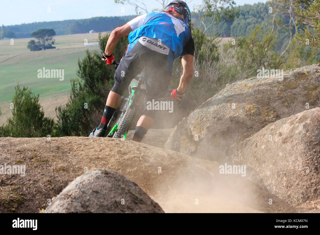 Competitor in Round 2 of the Enduro World Series mountain bike race on a Blue Derby track. Tasmania, Australia Stock Photo