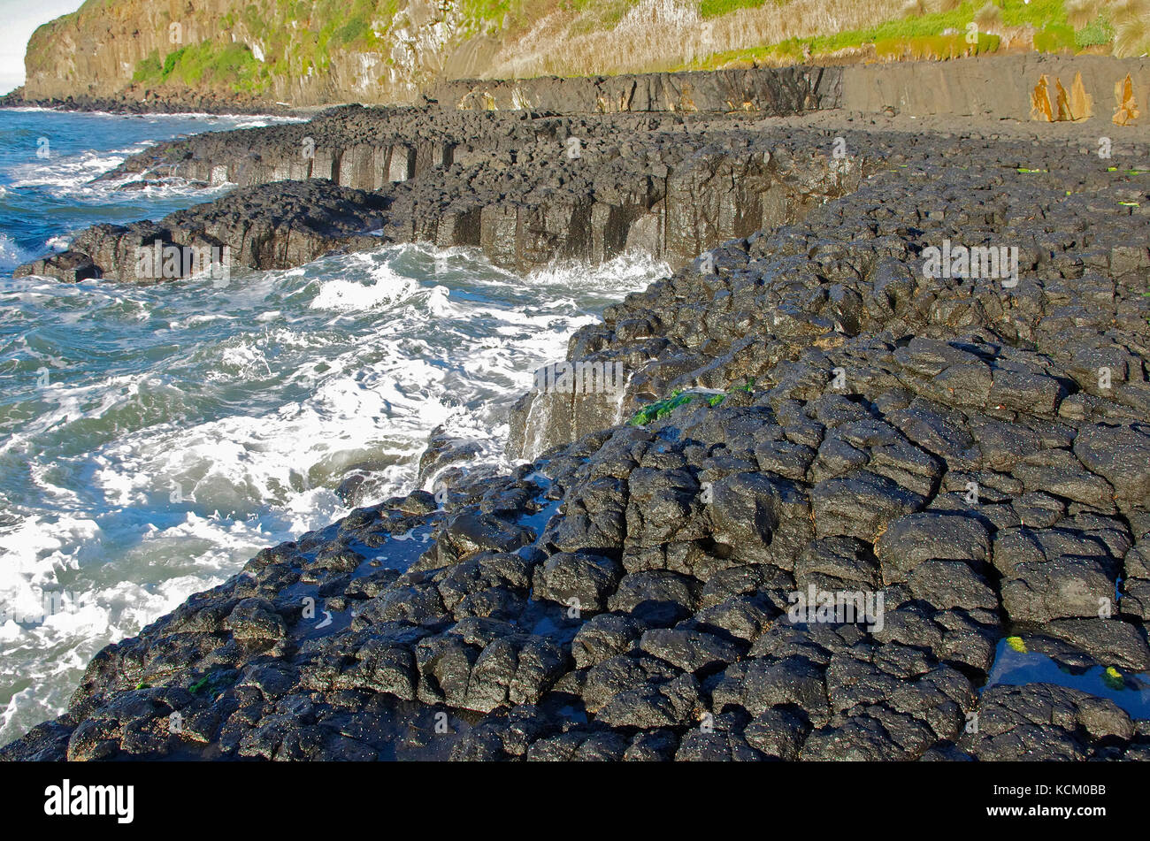 Columnar basalt of an exposed wave-cut platform at Don Heads, near Devonport, northwest coast, Tasmania, Australia Stock Photo