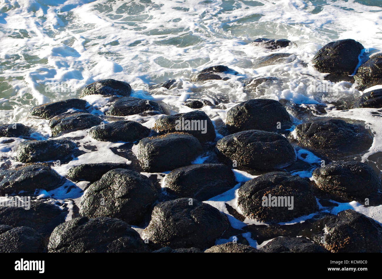 Exposed columnar structure of a basalt wave cut platform at Don Heads, near Devonport, northwest coast, Tasmania, Australia Stock Photo