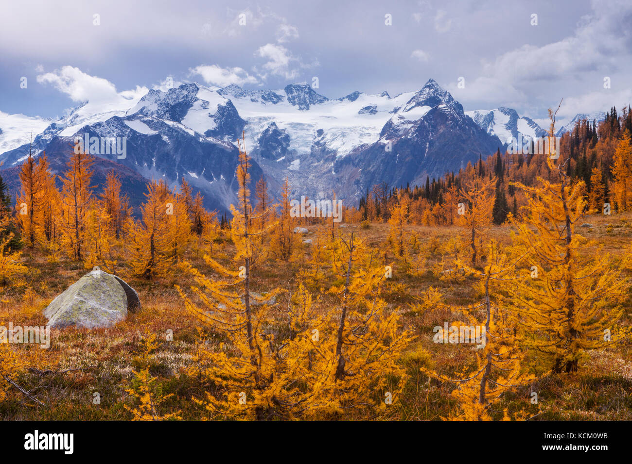 Mount Macbeth above fall larches in Monica Meadows, Purcell Mountains, British Columbia, Canada. Stock Photo