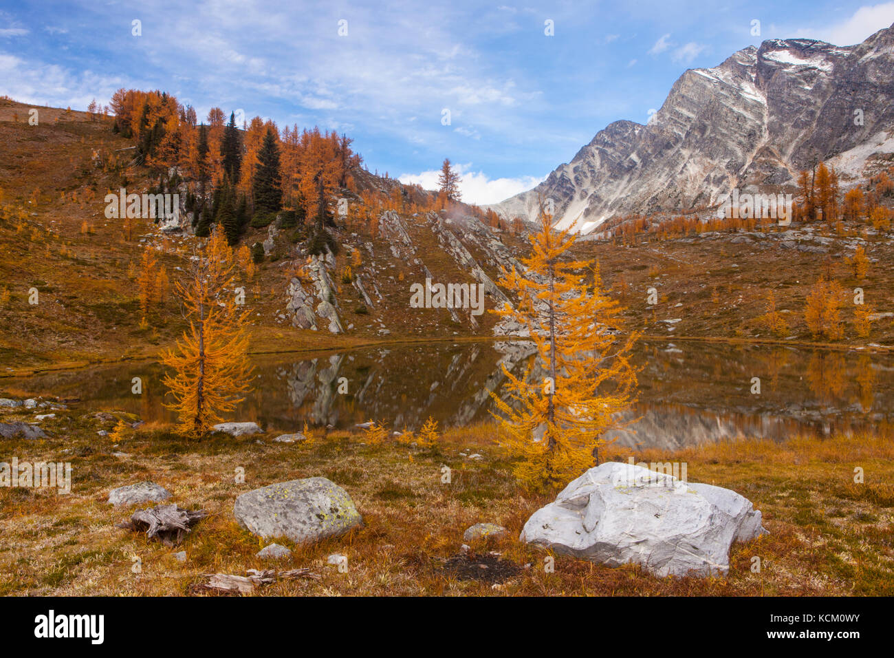 Mount Monica above a tarn and fall larches in Monica Meadows, Purcell Mountains, British Columbia, Canada. Stock Photo