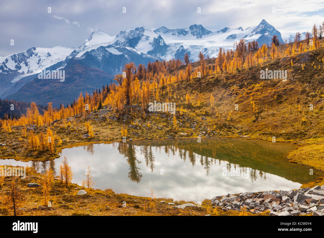 Mount Macbeth above a tarn and fall larches in Monica Meadows, Purcell Mountains, British Columbia, Canada. Stock Photo