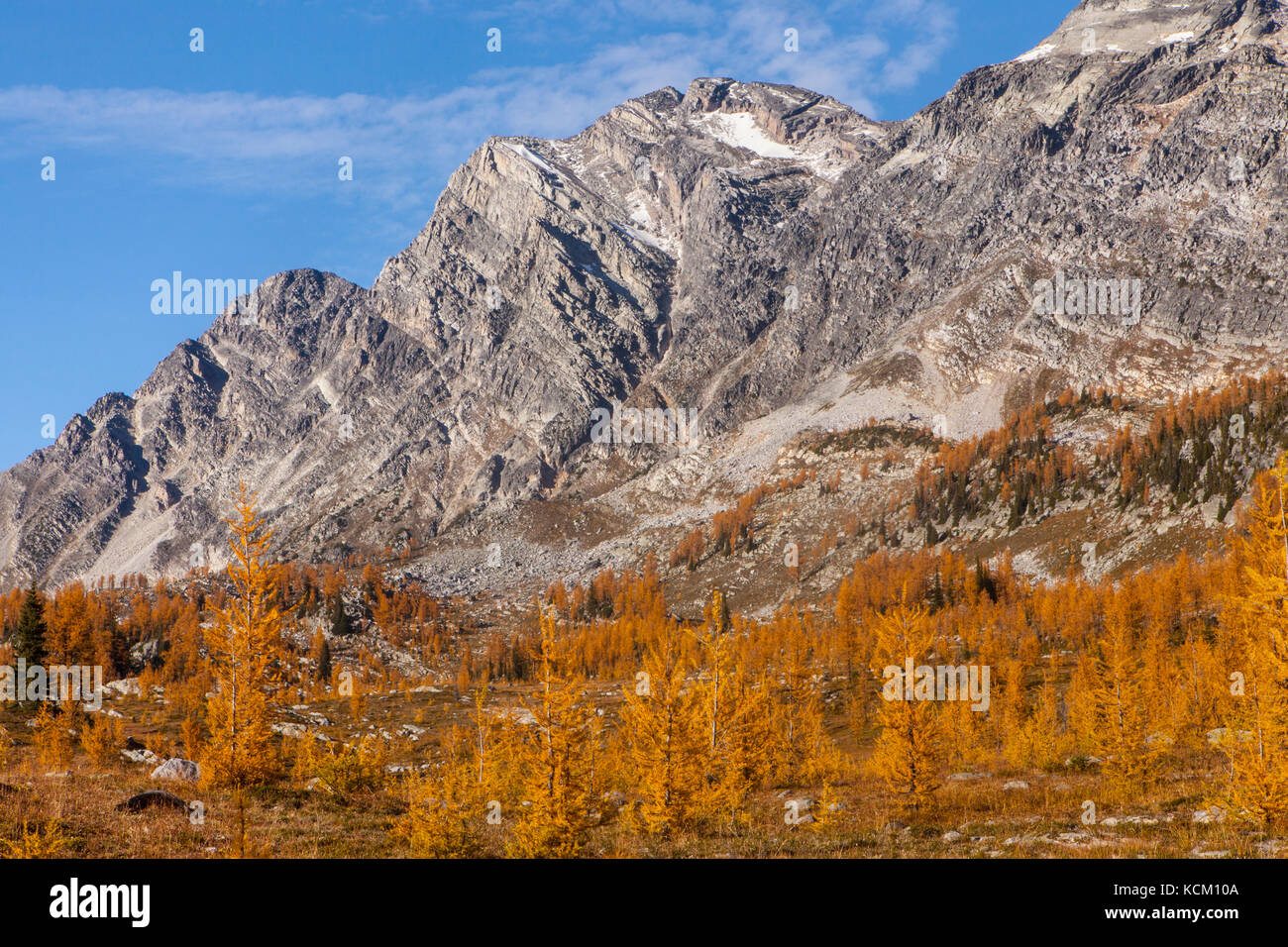 Mount Monica above fall larches in Monica Meadows, Purcell Mountains, British Columbia, Canada. Stock Photo