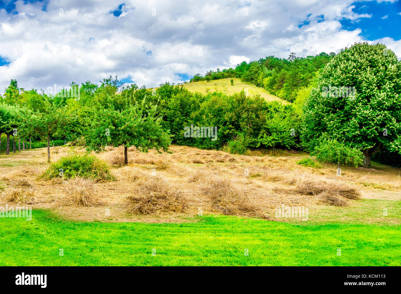 Museum of Impressionisms Garden, in the beautiful town of Giverny, France Stock Photo