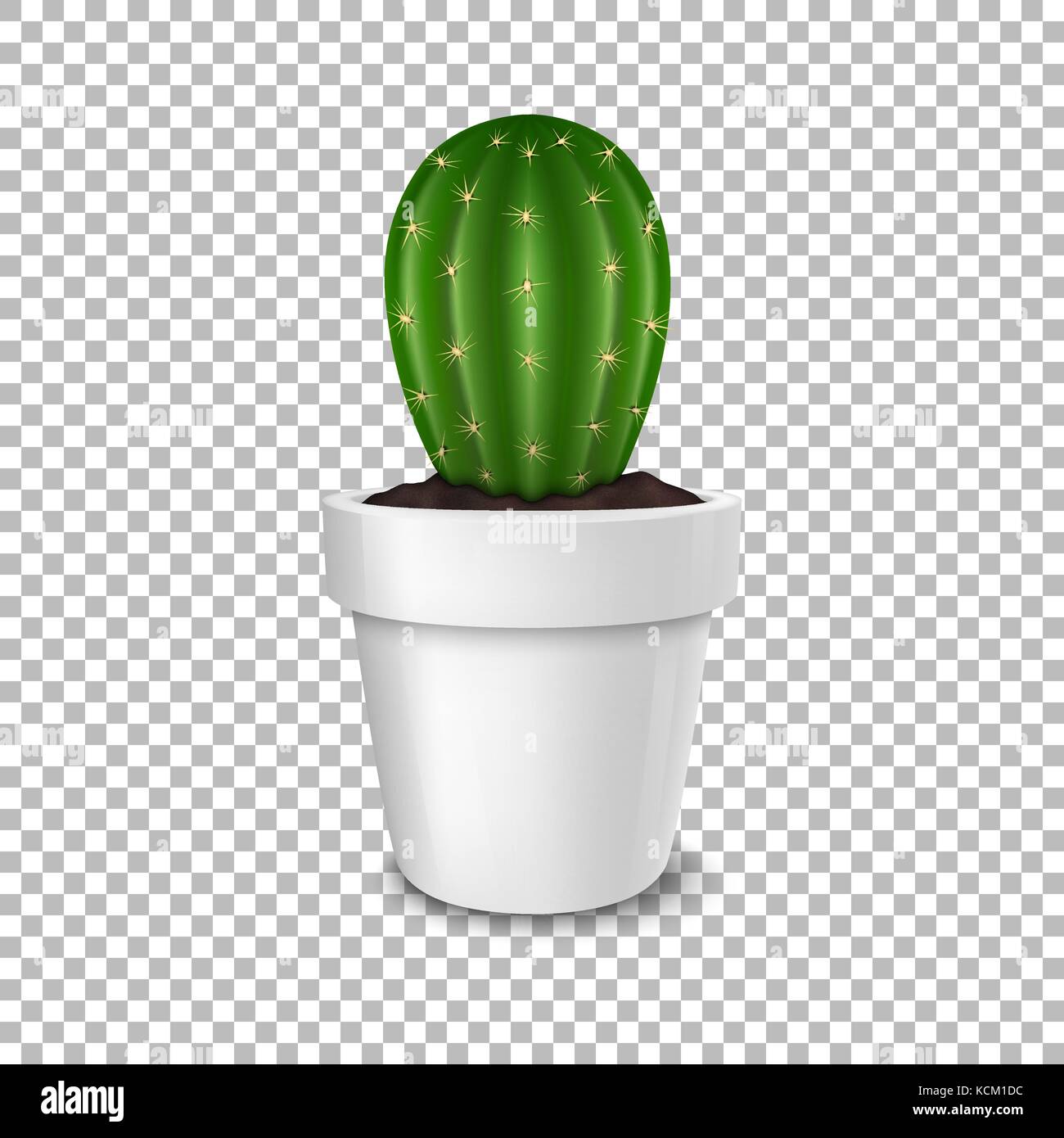 Download Realistic Decorative Cactus Plant In White Flower Pot Icon Closeup Stock Vector Image Art Alamy PSD Mockup Templates