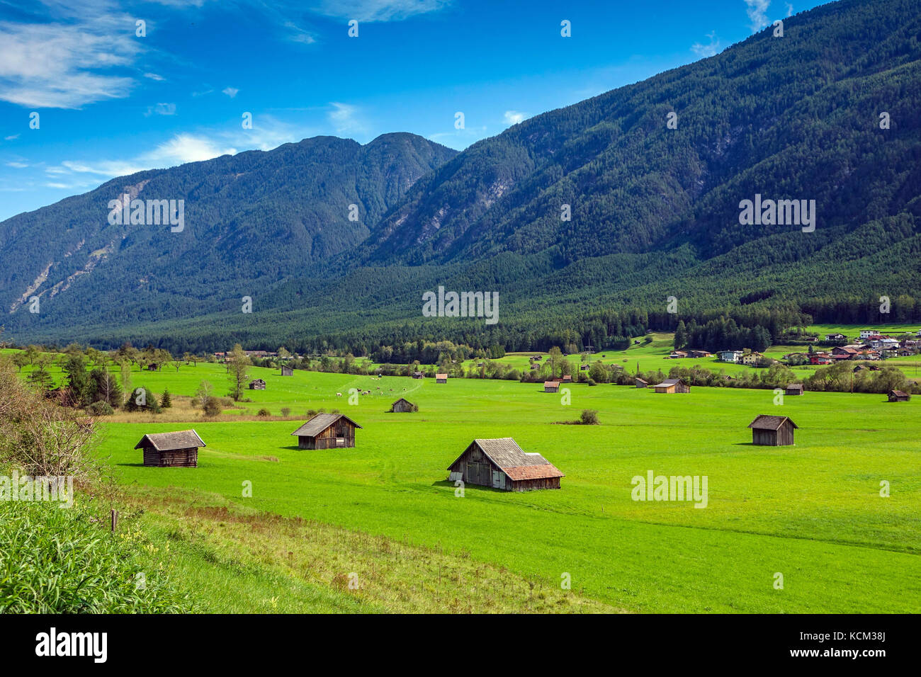Many small barns in green fields, near Imst, Austria Stock Photo