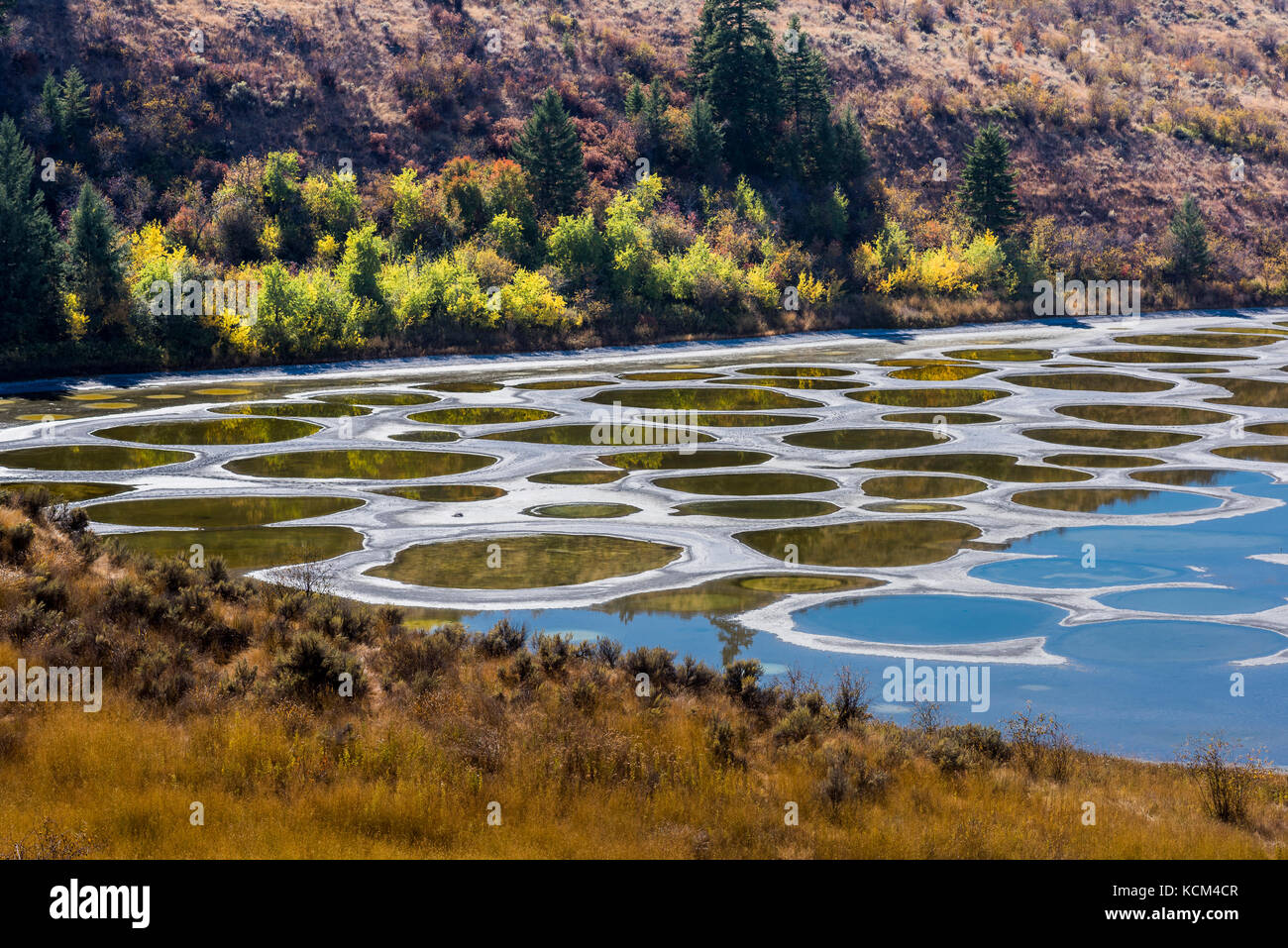 Spotted Lake Near Osoyoos British Columbia Canada Stock Photo Alamy Spotted Lake Near Osoyoos British Columbia Canada Stock Photo Alamy