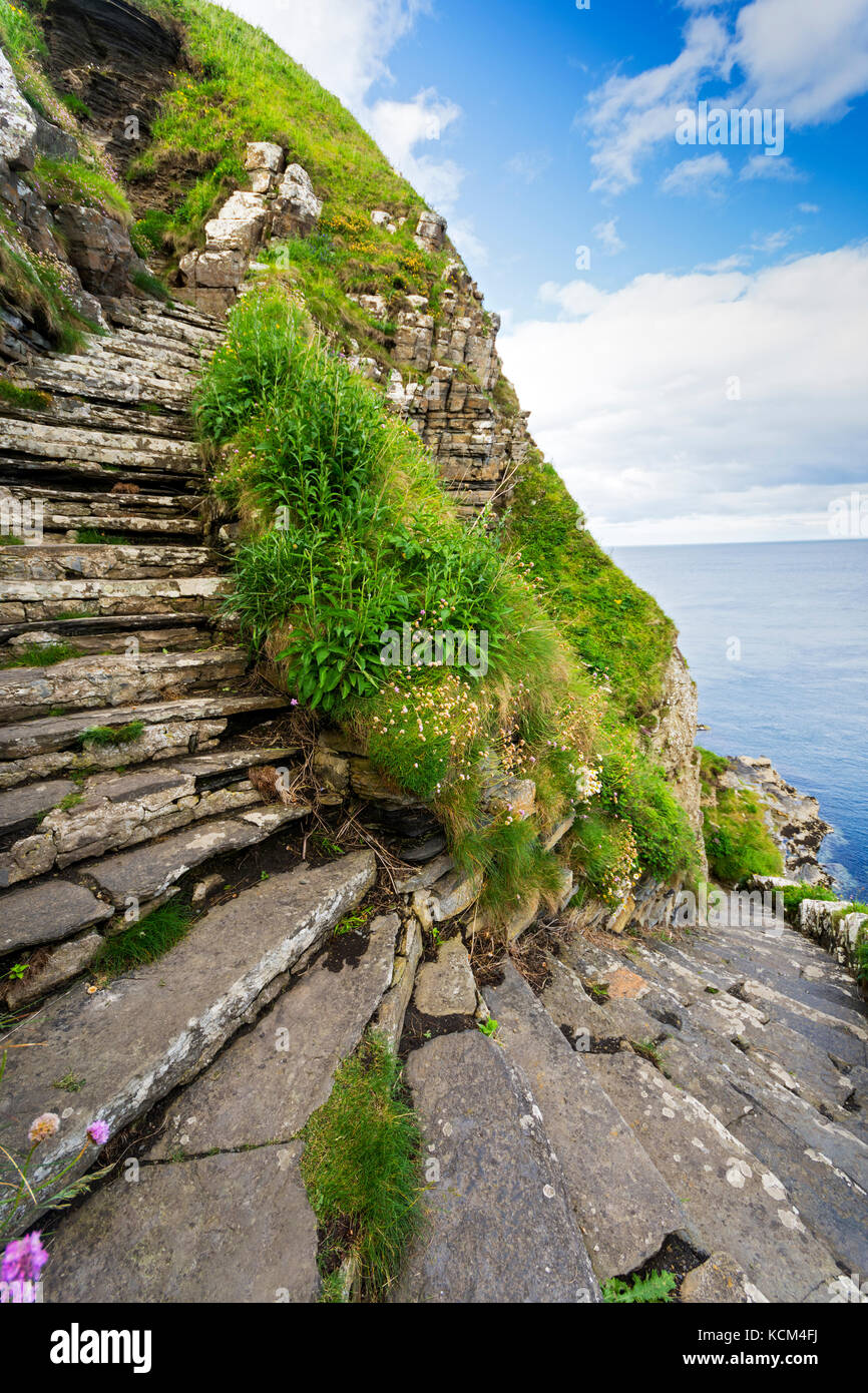 Whaligoe Steps at Whaligoe Haven, near Ulbster, Caithness, Scotland, UK Stock Photo