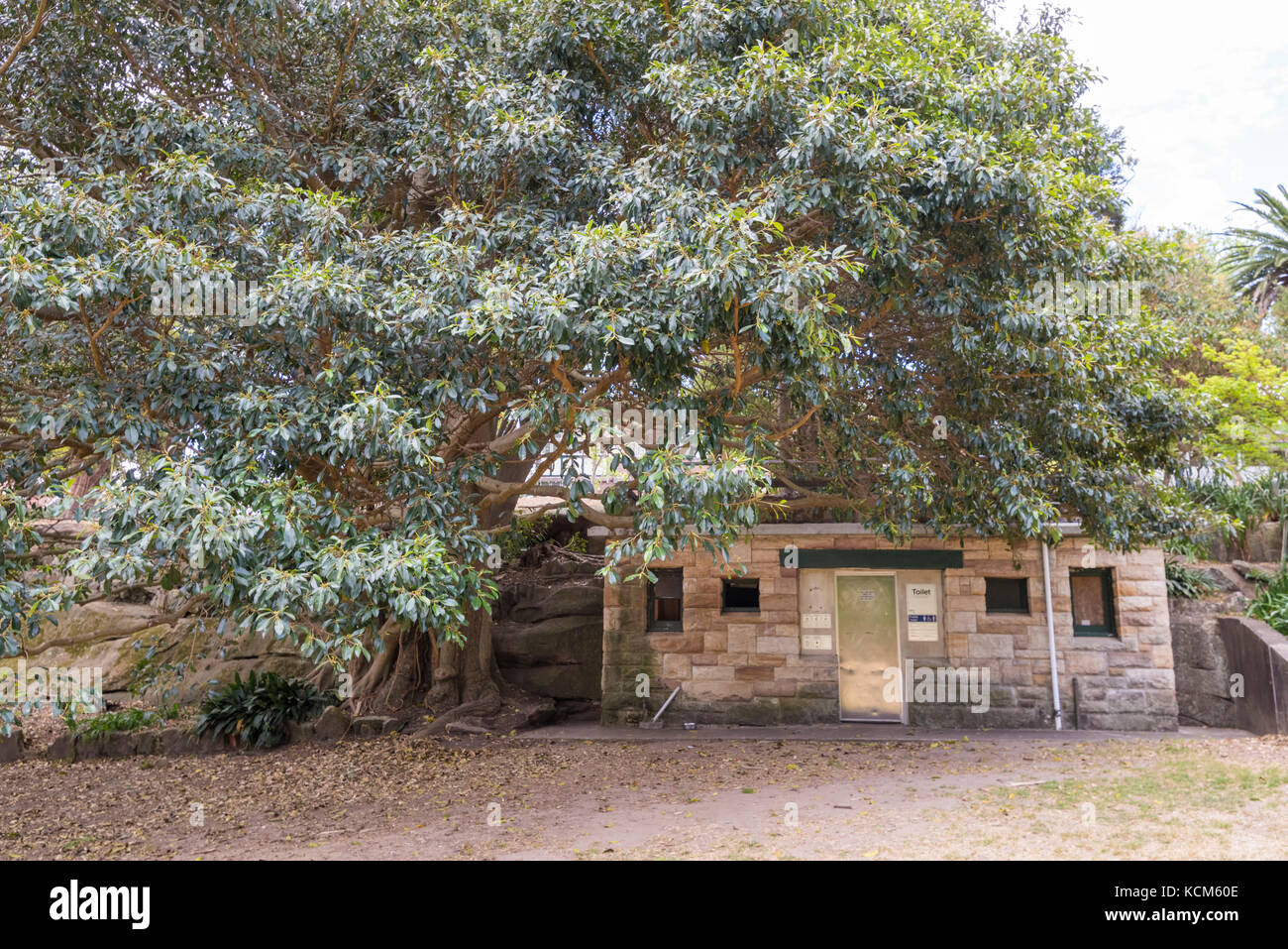 Public toilets in old traditional sandstone building under tree in Brennan Park, Wollstonecraft, North Shore, Sydney, NSW Stock Photo