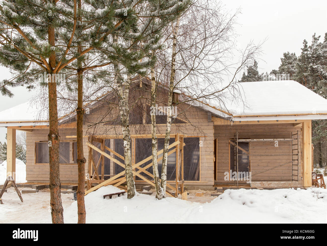 Construction of frame wooden house on the background of a pine forest ...