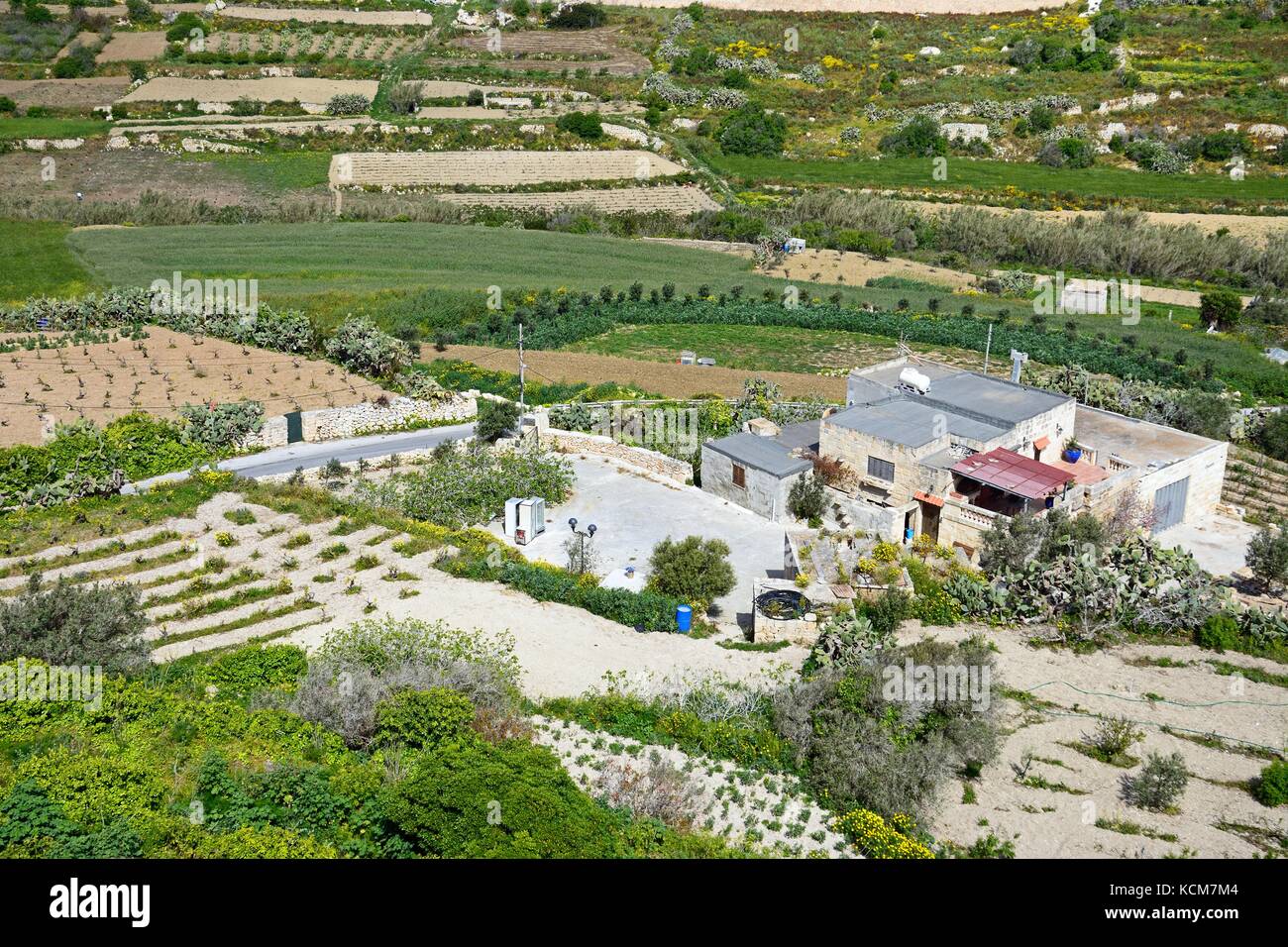 Elevated view of a farm and surrounding farmland, Mdina, Malta, Europe