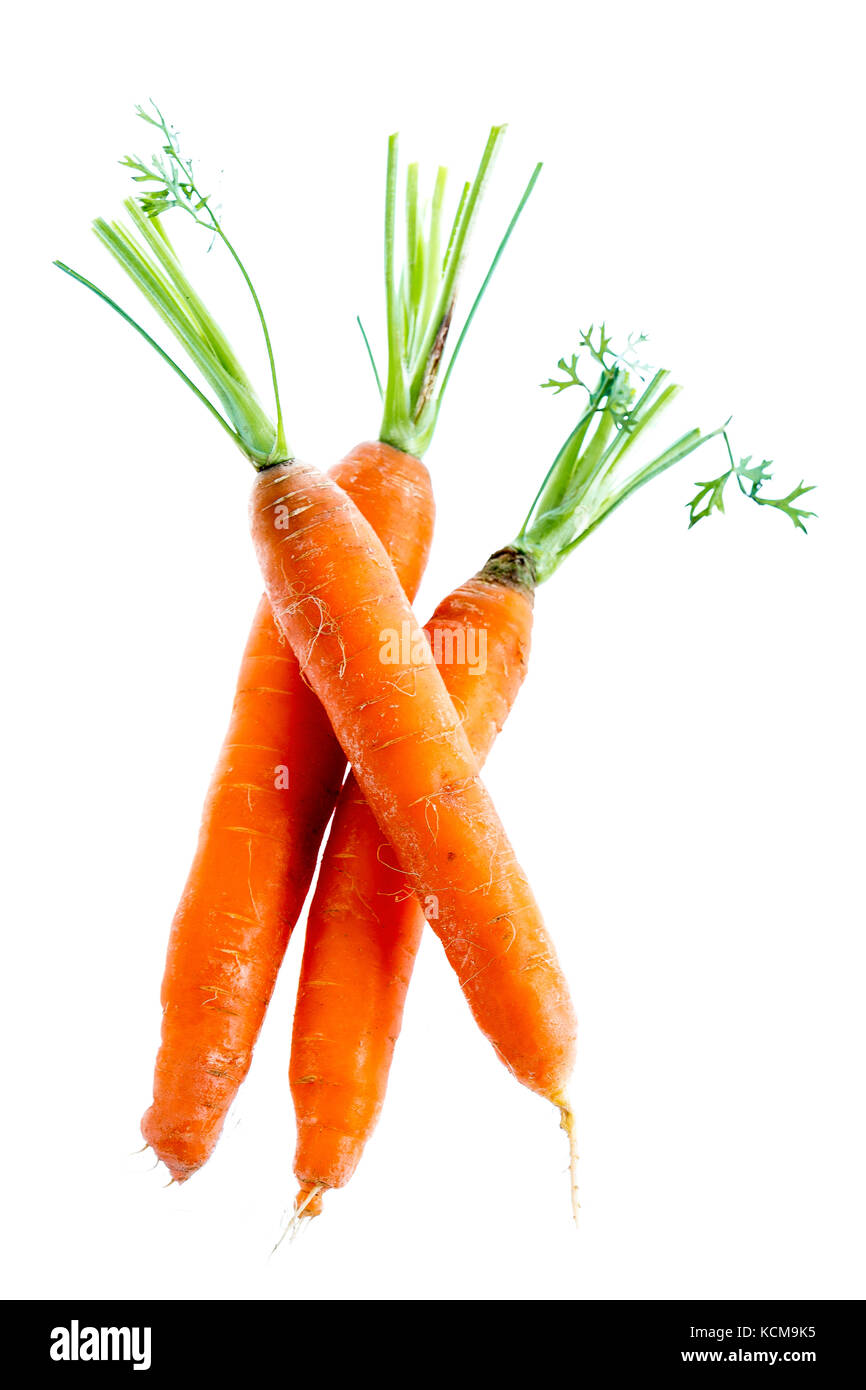 Red carrot on white background long cut stem with copy space, top view Stock Photo