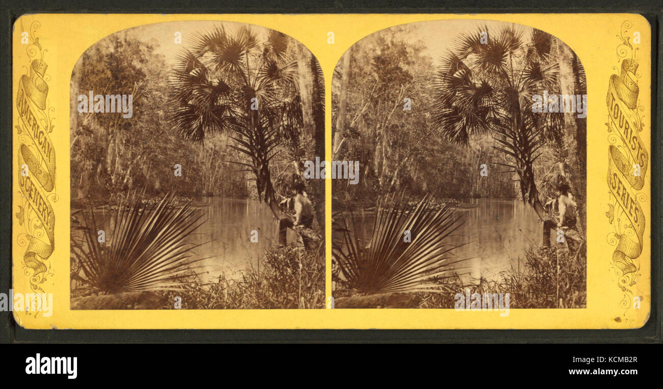 Grecian Bend, Oklawaha River, Fla, from Robert N. Dennis collection of stereoscopic views Stock Photo