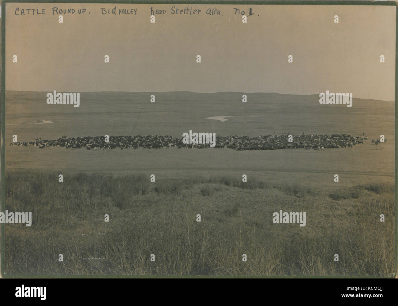 Map of big valley alberta hires stock photography and images Alamy