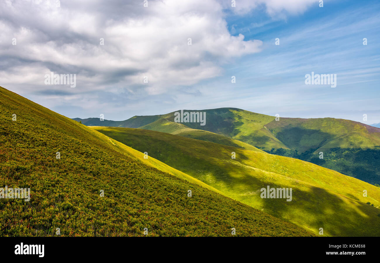 gorgeous green rolling hill in summer. beautiful view of grassy ...