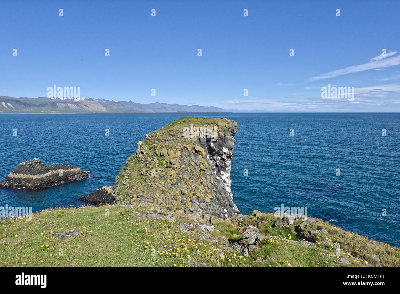 Shoreline and cliffs of basalt rock at Arnarstapi nature reserve seen ...