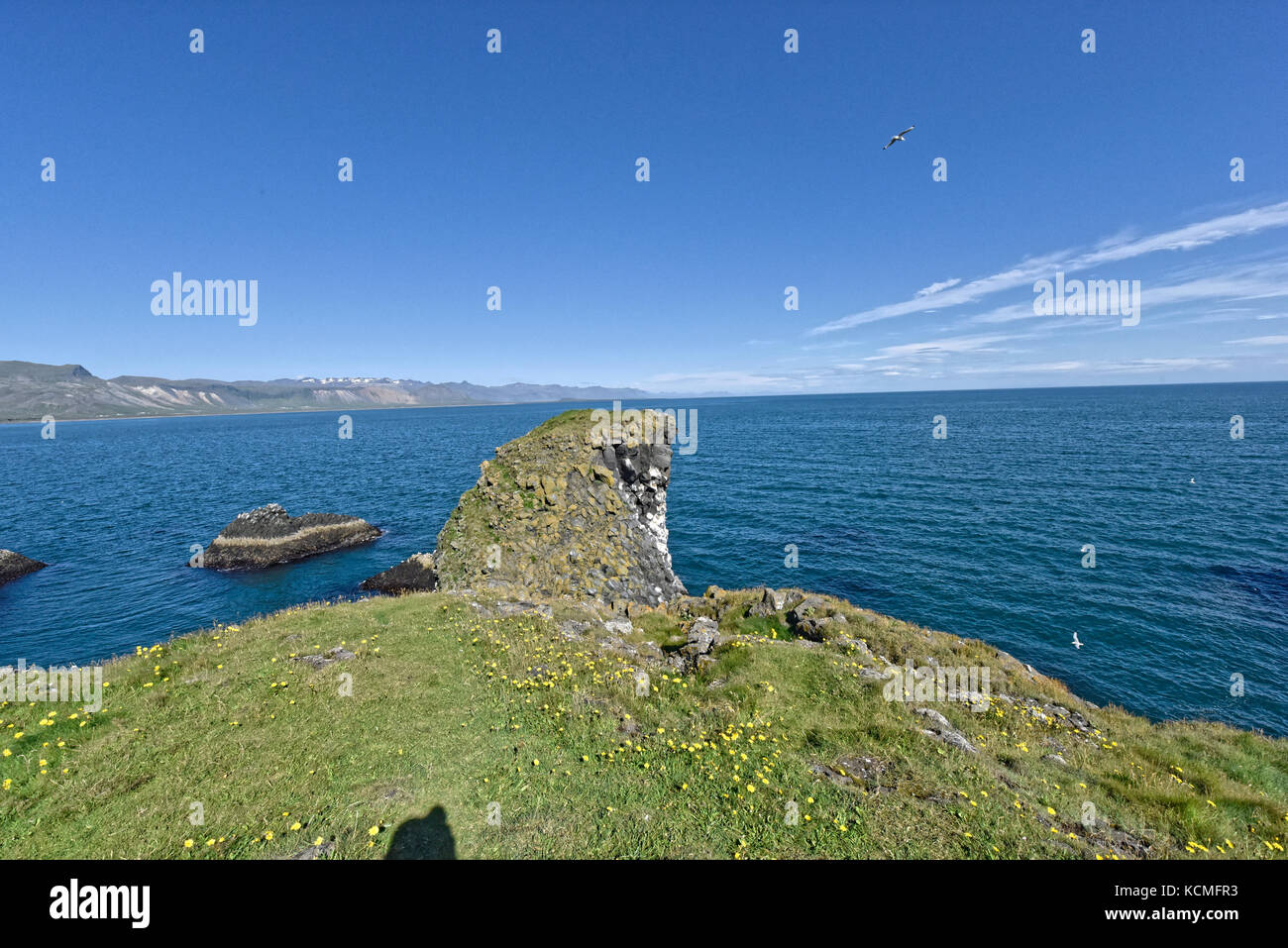 Shoreline and cliffs of basalt rock at Arnarstapi nature reserve seen ...