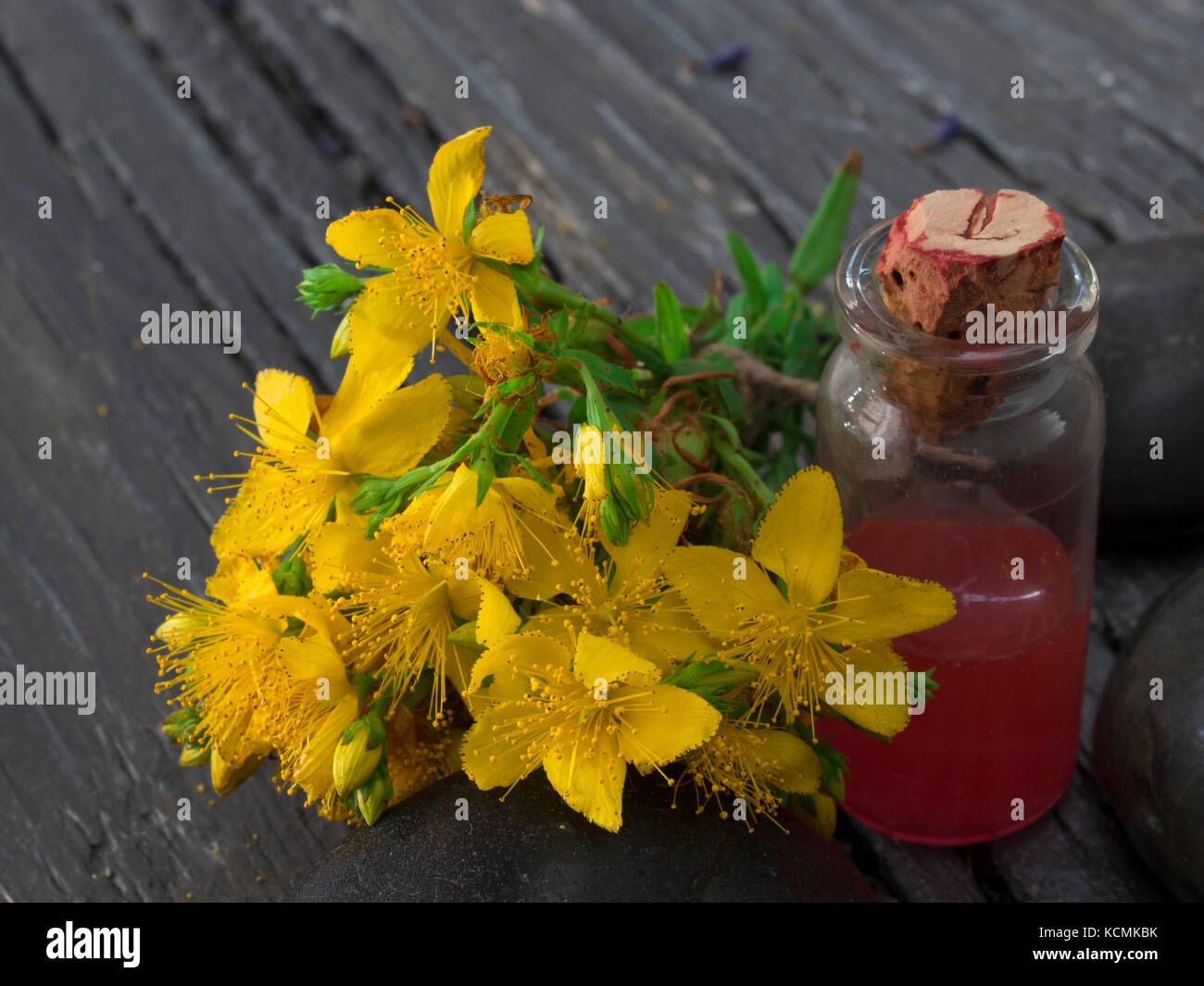 st john's wort oil Stock Photo Alamy