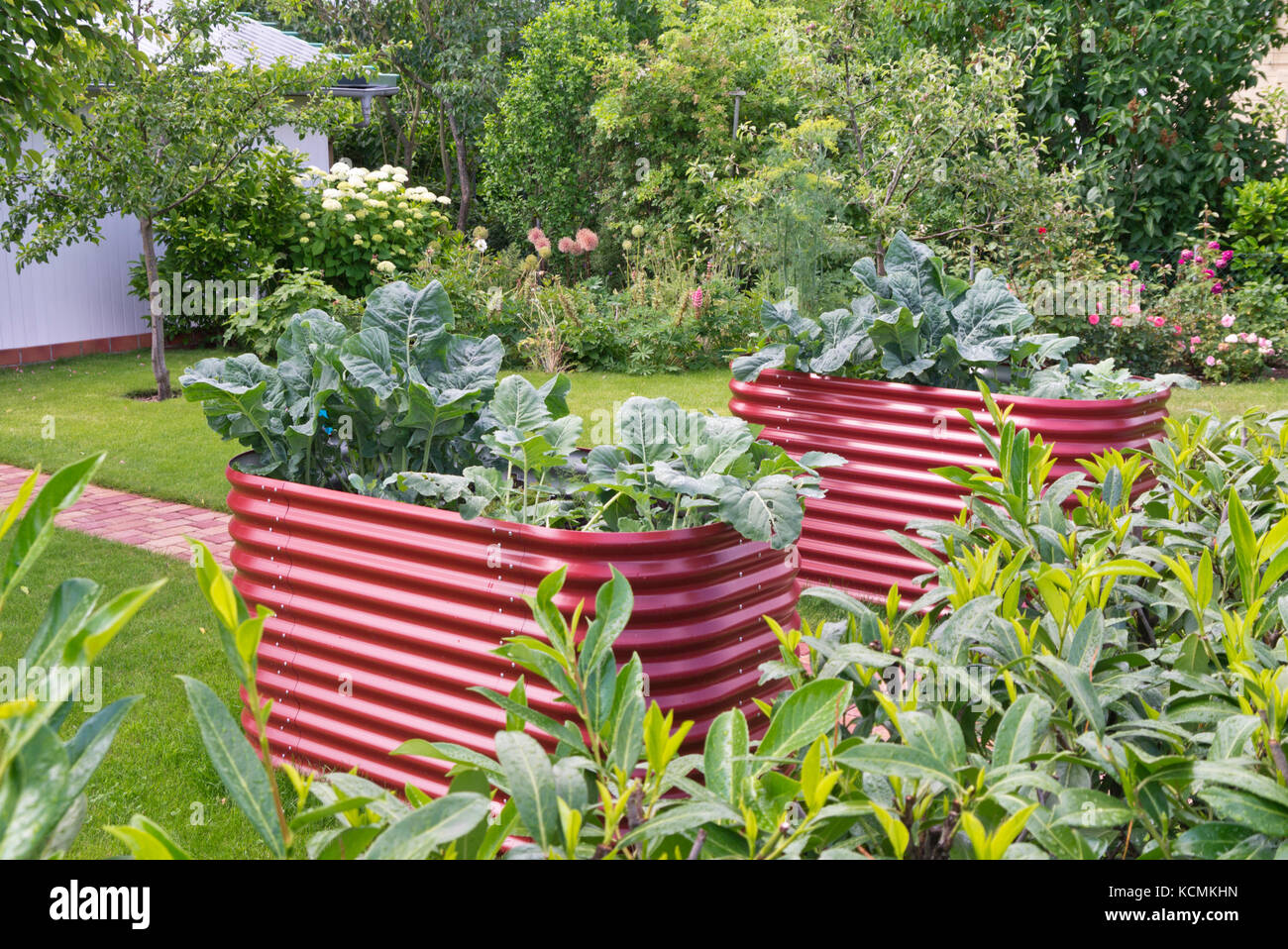 Raised bed made of corrugated metal sheet Stock Photo