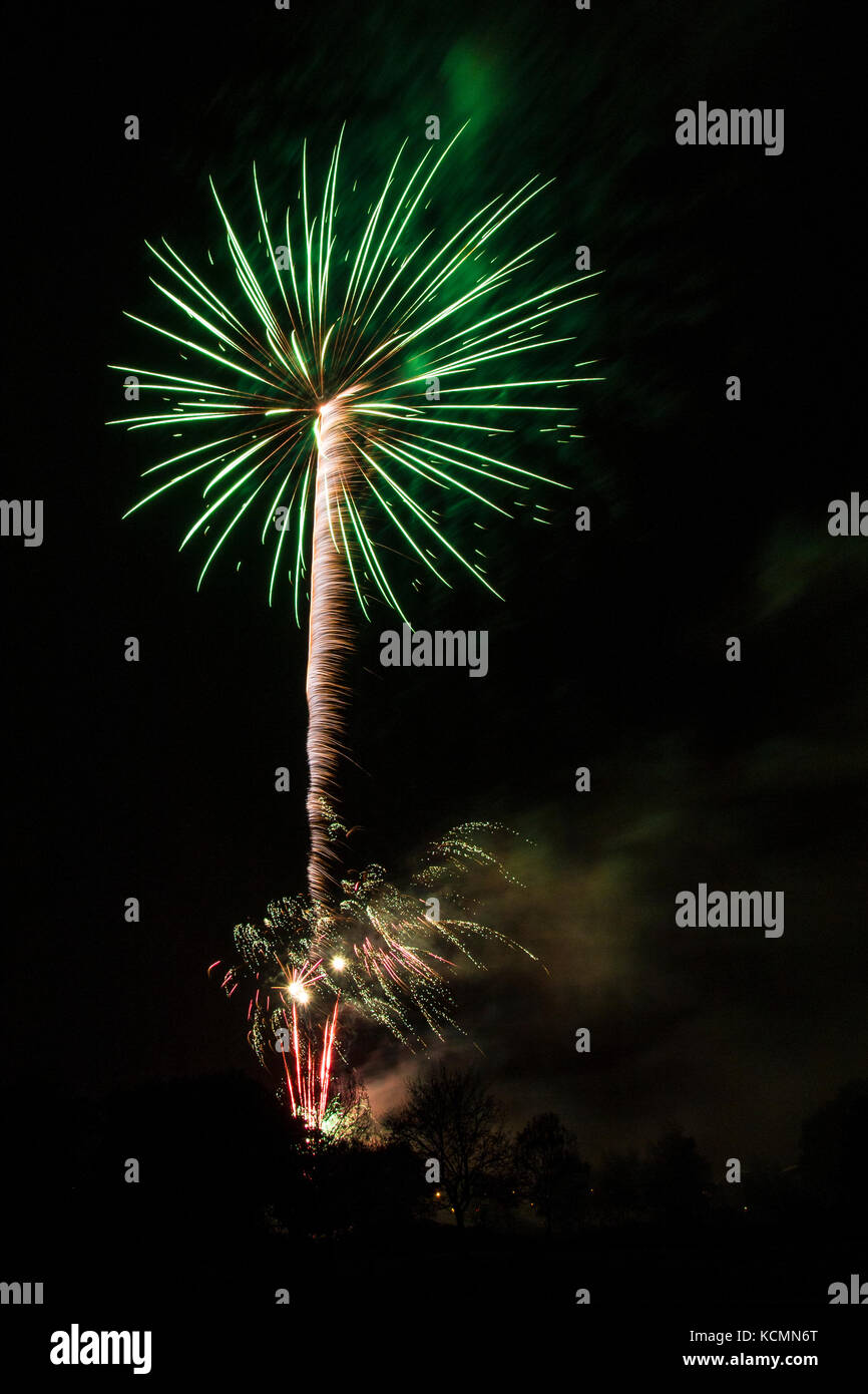 Night time shot of fireworks. The green and white light trails from the pyrotechnics form an abstract pattern that looks like a giant palm tree. Stock Photo