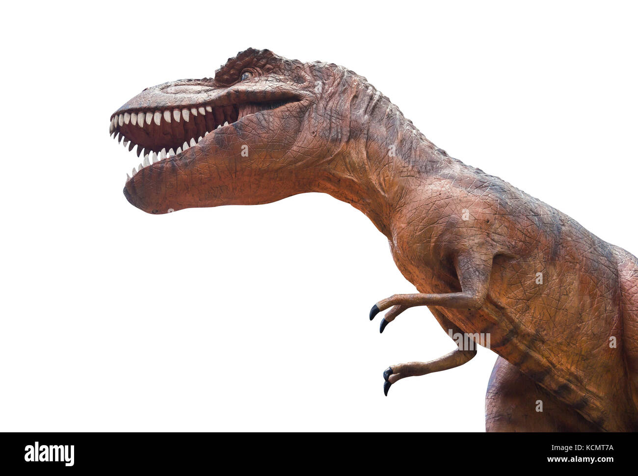 Tyrannosaurus rex is fighting . Isolated background . Stock Photo