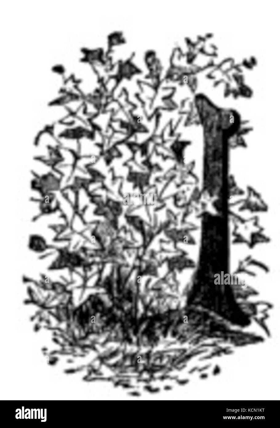 Capital letter i Black and White Stock Photos & Images Alamy