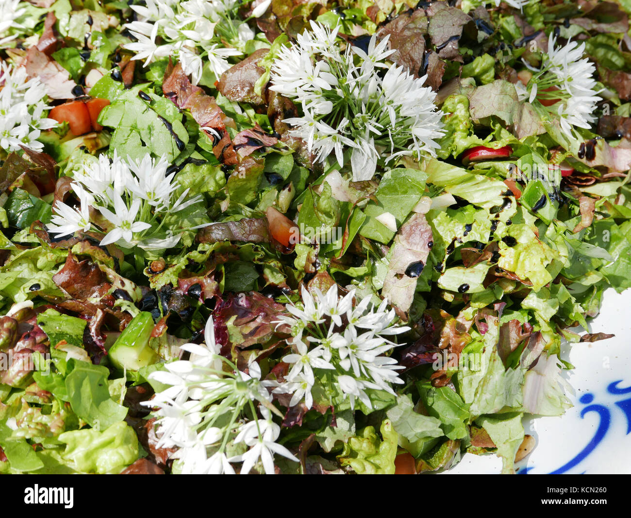 Delicious garden salad with wild garlic Stock Photo Alamy