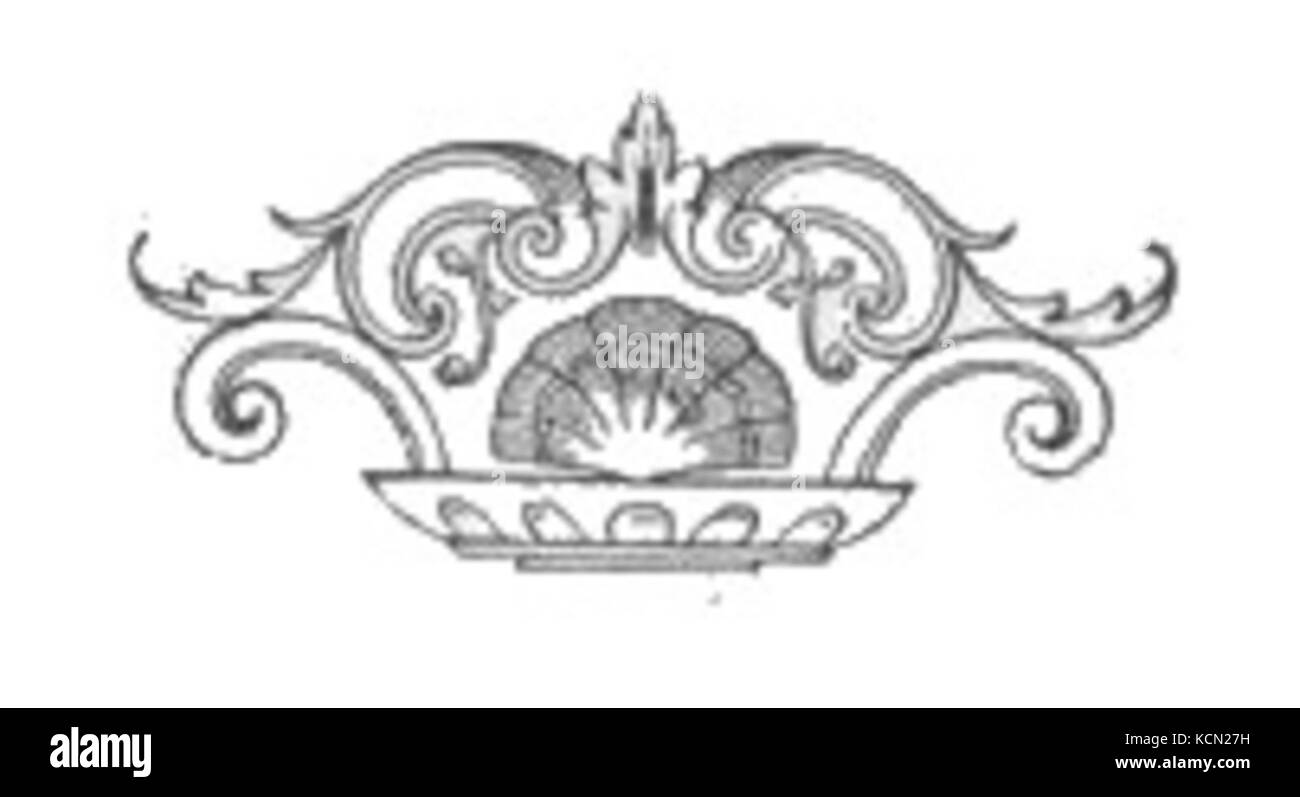 Clam shell illustration Black and White Stock Photos & Images Alamy