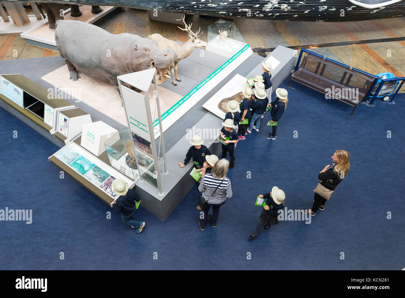 A party of young school children in white hats touring the Natural History Museum, London, UK Stock Photo