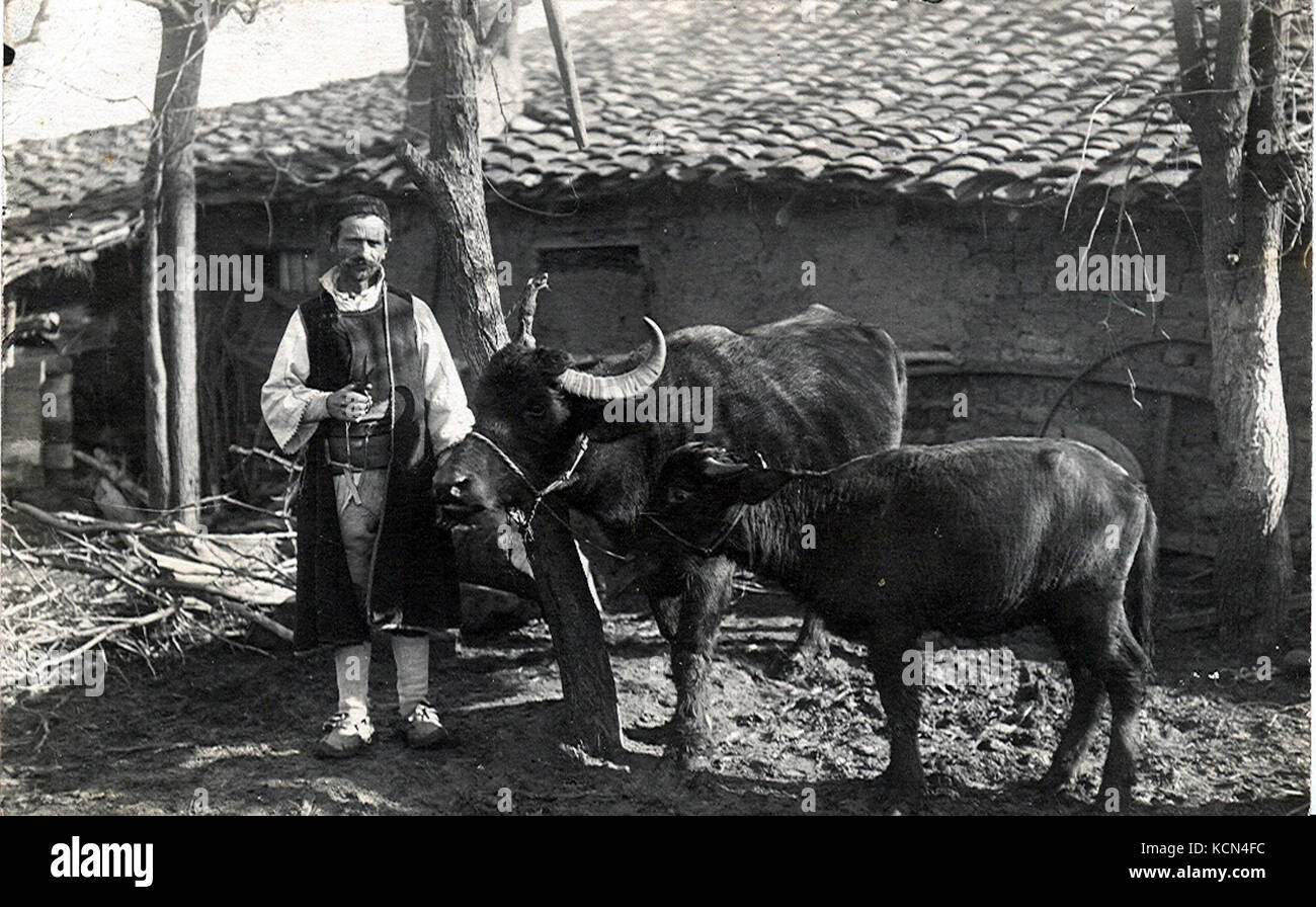 Bauer mit Vieh Stock Photo