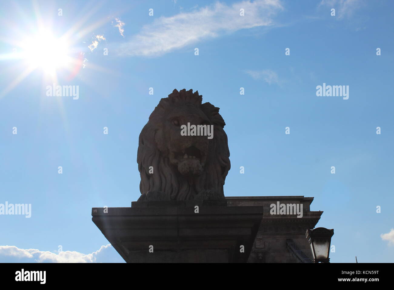 Lion Statue Chain Bridge Budapest Stock Photos & Lion Statue Chain
