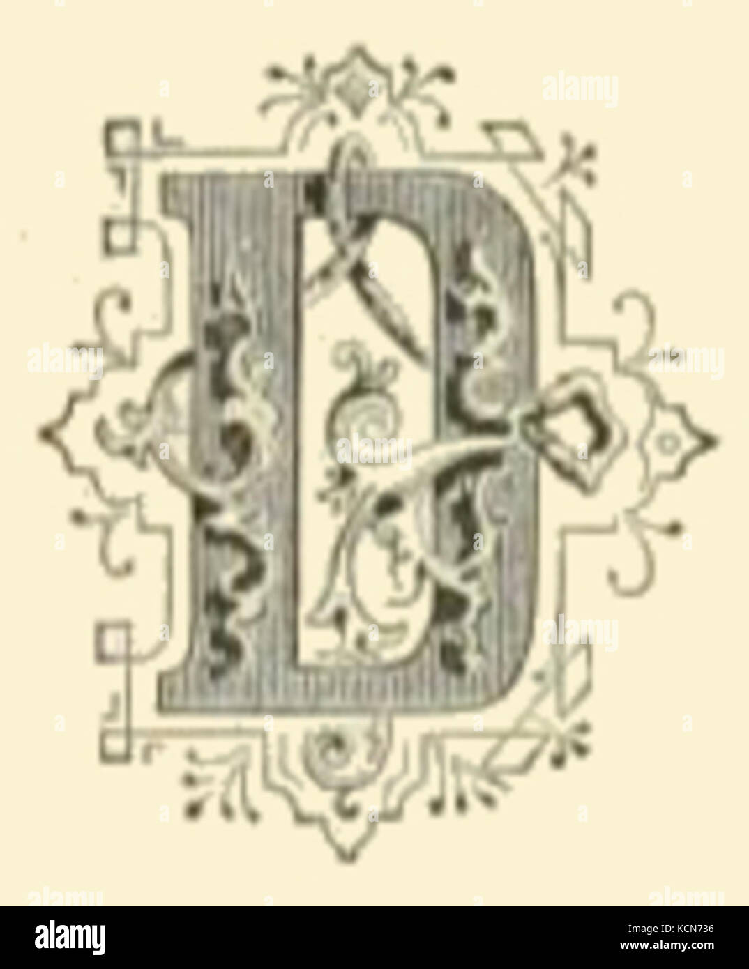 Fancy Letter D Drawing Stock Photo Alamy