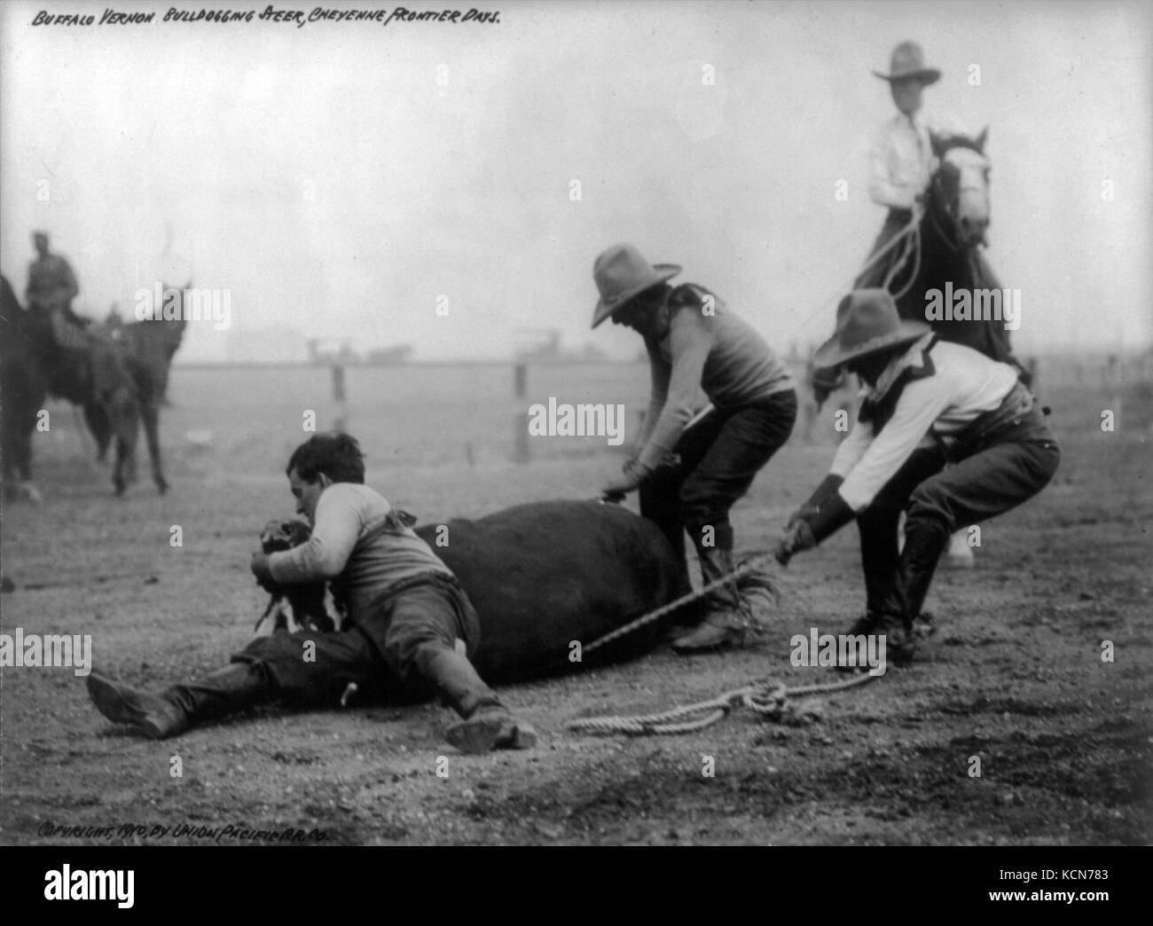 Bulldogging a steer, Cheyenne Frontier Days cph.3b03105 Stock Photo Alamy