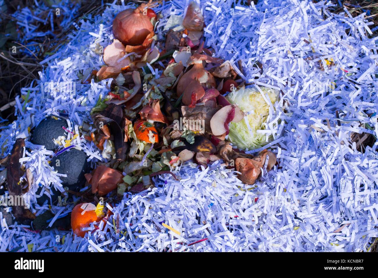 Compost heap with rotting vegetables and shreddedpaper enabling ...