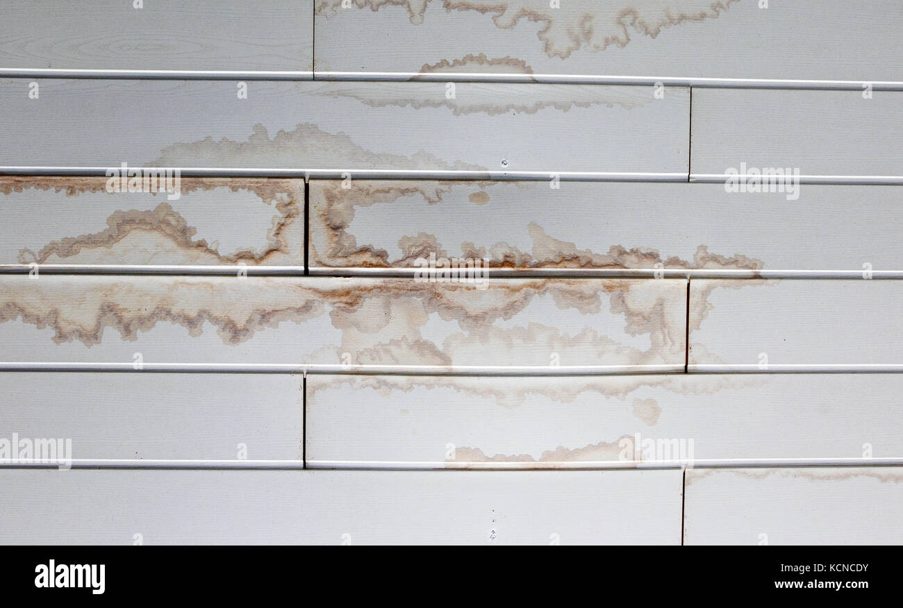 Wet stain of rain on polypropylene panels ceiling Stock Photo Alamy